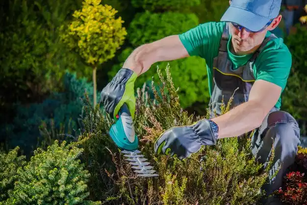 landscaping services Fairdealing